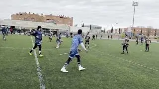 Copa de España 2026: Madrid Wolves vs Buckbeak Riders (Semifinal)