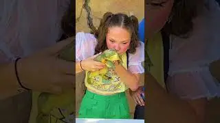 Игра &laquo;Угадай ЖИВОТНОЕ&raquo; с Зои!!! (Экзотика и ужасы) #шорты