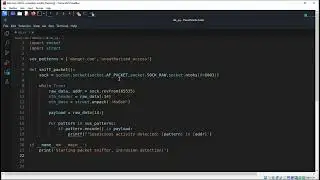Simple Intrusion Detection System IDS in Python