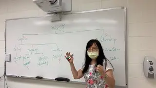 Statistical Map: Choosing the Appropriate Test in Statistics- Lectured by Dr. Fang-Mei Law