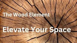 Unleash the Power of the Wood Element in Feng Shui