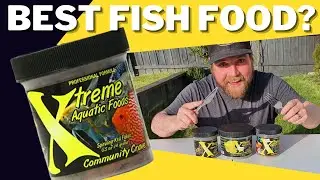 Choosing GOOD Fish Food - Xtreme Aquatic Foods