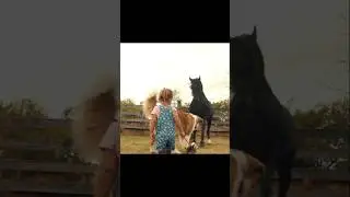 Dog Saves Girl While Mom's on the Phone | A Dog's Journey | #movie #film