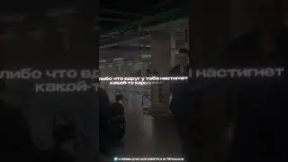 невая темка и схемы заработка в описании канала!