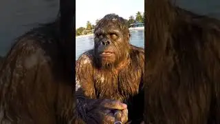 Бигфут находит немного козявочного сахара #shortsfeed #funny #shortsbeta #bigfoot