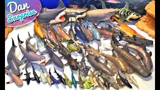 Shark Toys Collection! Hammerhead, Great White Shark, Zebra Shark, Tiger Shark, Lemon Shark, Leopard