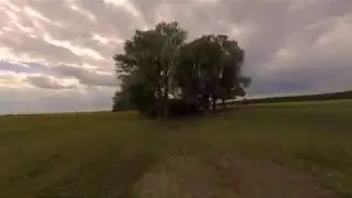 Poppy Field Cinematic FPV
