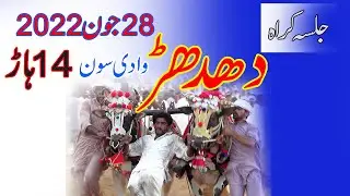 New Dhadhar Wadi e Soon Jalsa Bail Karah 28 June 2022 by Saraiki Chakwal