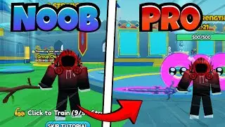 NOOB To PRO In Reborn As A SWORDSMAN ROBLOX