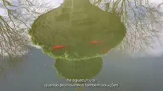 Dia Nacional da Conservação da Natureza