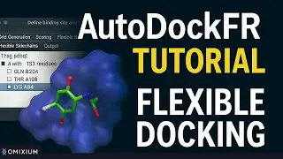 Гибкая стыковка с использованием AutoDockFR (ADFR) | AGFR-GUI | Молекулярная стыковка