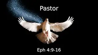 HS24 The Office of Pastor