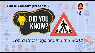 Did You Know? Zebra Crossings 🌍 | A Creative Brain Break for Kids