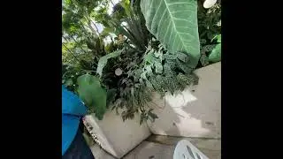 Amazon Sphere - Part 3