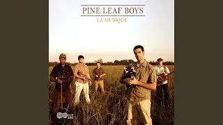 Pine Leaf Boy Two-Step