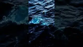 Gentle Ocean Ripples in Deep Blue Tones#oceanvibes #calmsea #relaxingvisuals #peacefulwater #nature