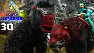 ENCONTRAMOS O NOSSO DINO MAIS FORTE? MATADOR DE BOSS? - ARK SUPREME  #30