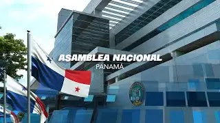 PLENO DE LA ASAMBLEA