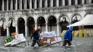 Sorge um die Lagunenstadt: Wieder Hochwasser in Venedig