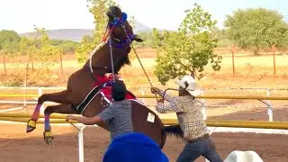 Carreras De Caballos | Carril San Isidro | 05 De Noviembre Del 2023