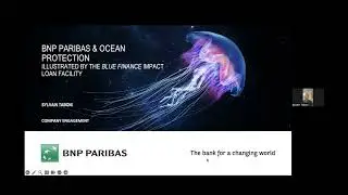GEF-8 Webinar: Bridging Public and Private Efforts: Collaborative Models for Financing Nature (EN)