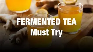 FERMENTED TEA | MUST TRY