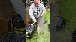 Cheep trickle / Bakki shower 