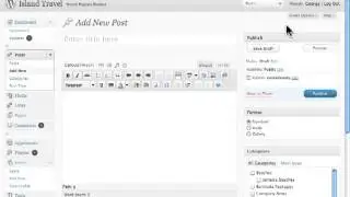 Displaying Meta Boxes in Advanced Post Options Wordpress