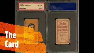 The T206: The World's Most Expensive Baseball Card