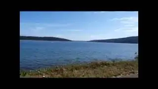 Vashon Island Strawberry Festival Adventure