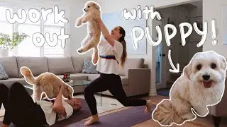 WORKING OUT WITH MY DOG: puppy pilates workout!