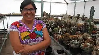 Cactus en Axapusco ; Paty Garsa.