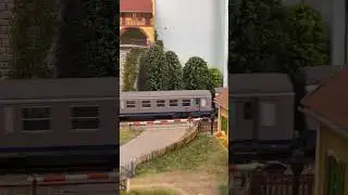 🇫🇷BB 25500 et TER #train #trainspotting  #foryou #video #france #francia #alpes #treno