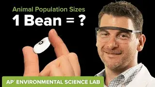 Population Estimation Experiment for APⓇ Environmental Science