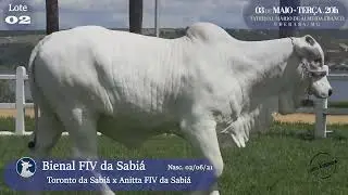 lote 02   SAB C4685