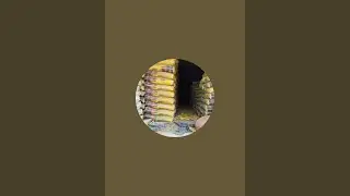 Alok Gupta is live!