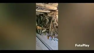 Zu Gast im Schneiderhof, 79585 Steinen-Kirchhausen