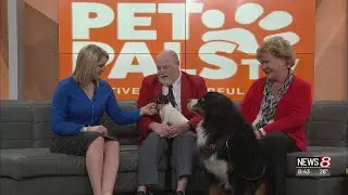 Pet Pals TV: Indy Winter Classic