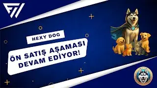 HEXYDOG! &Ouml;N SATIŞ AŞAMASI DEVAM EDİYOR!