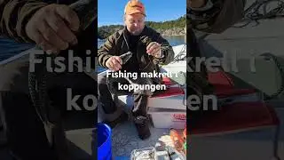 Makrell #fishing