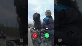 Long Patrol in Finland: Keeping the EU Border Safe in #Lapland I #Finland is Calling #Frontex