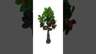 These are the best artificial plants for home and office decoration | Flowers | SC Artificial Flower