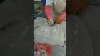 giant squid fillet