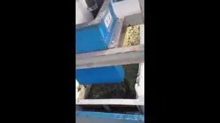 Pruebas de desaguado en harneros