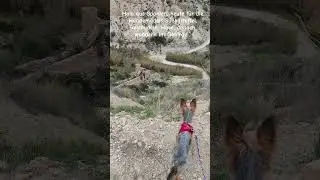 Hiking in the Spanish mountains with miniature dogs, a good idea? #love #fun #chihuahua #funny #h...