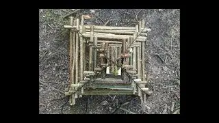 Traps - Level: Novice. The Arapuca Bird Trap