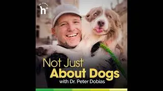 Episode 67: Get to Know Your Vet - Dr. Laurie McCauley