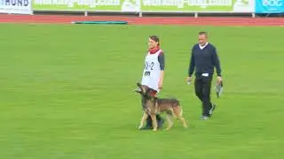 FCI WM 2017 - U. Maltseva,Vyatkins' Y'Rampage,В-95