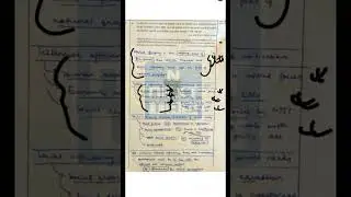 AIR 11 | kush motwani | topper's answer copy 