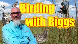 Visiting an outstanding collection of Native birds of Saskatchewan, Canada at the RSM. (Part 1)